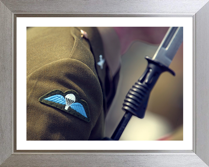 Army Parachutist Wings Closesup Photo Print - British Army Hampshire Prints 10 x 8 Silver Frame Yes