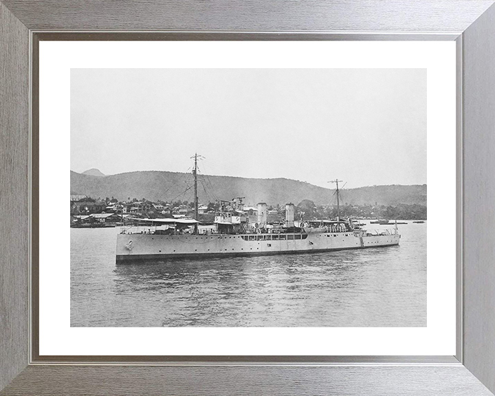 HMS Delphinium (1915) Royal Navy Arabis Class sloop Port Side View Photo Print Wall Art Posters, Prints, & Visual Artwork Hampshire Prints 10 x 8 Silver Frame Yes
