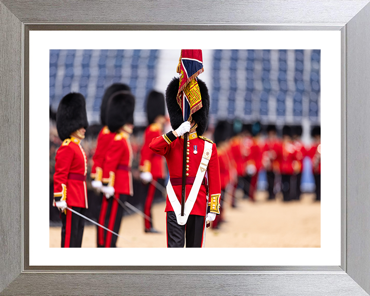The Ensign of the Coldstream Guards Photo Print - British Army Hampshire Prints 10 x 8 Silver Frame Yes