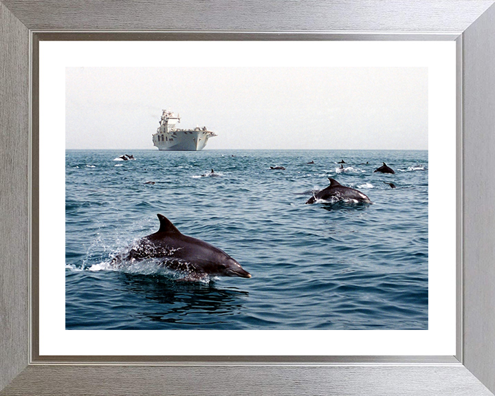 HMS Ocean (L12) Photo Print - With Dolphins 2003 - Royal Navy Landing Platform Helicopter Hampshire Prints 10 x 8 Silver Frame Yes