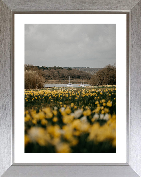 Bucklers Hard Beaulieu Hampshire in spring Photo Print - Canvas - Framed Photo Print - Hampshire Prints