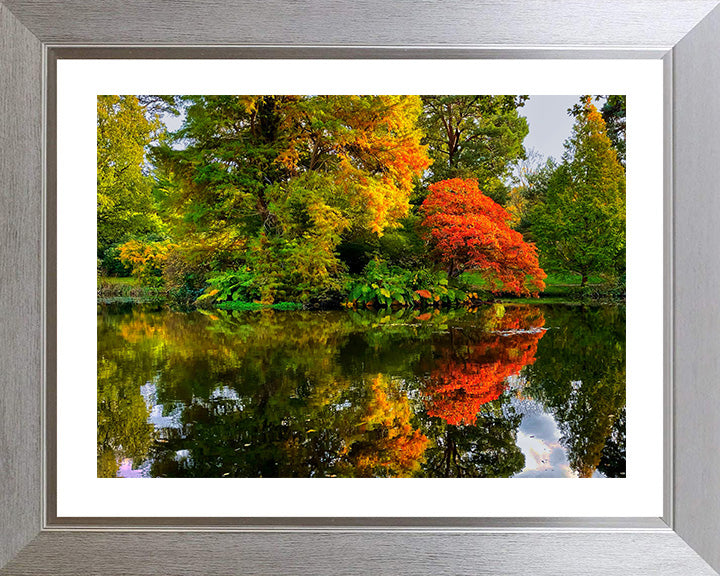 Exbury Gardens The New Forest Hampshire in Autumn Photo Print - Canvas - Framed Photo Print - Hampshire Prints