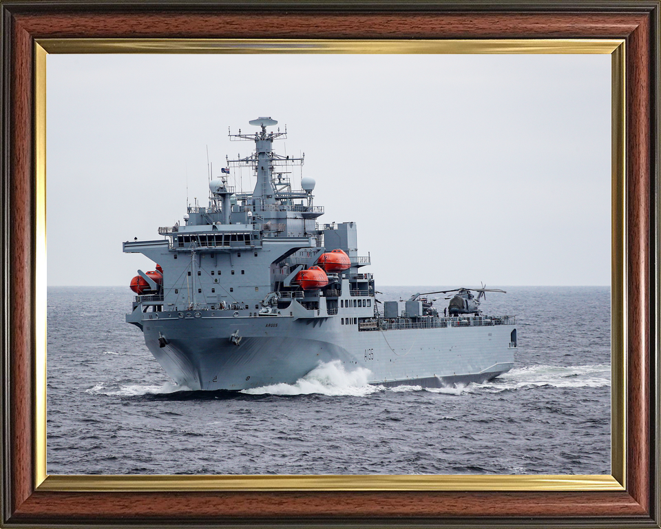 RFA Argus A135 Casualty Class Ship May 2019 At Sea