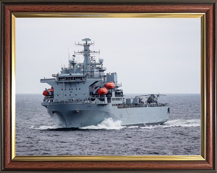 RFA Argus A135 Casualty Class Ship May 2019 At Sea