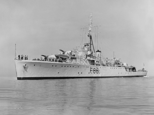 HMS Pelican F86 Egret Class Sloop 1954
