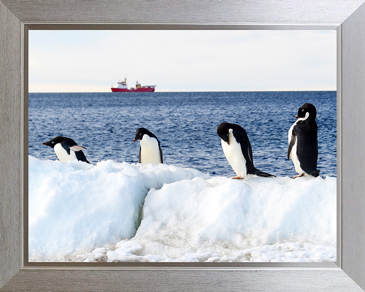 HMS Protector (A173) Photo Print - Reflections With Penguins - Royal Navy Ice Patrol Vessel Hampshire Prints 10 x 8 Silver Frame No