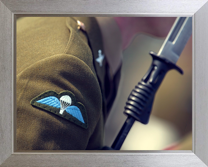 Army Parachutist Wings Closesup Photo Print - British Army Hampshire Prints 10 x 8 Silver Frame No