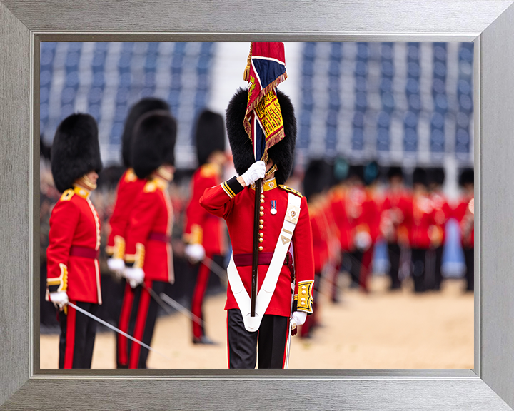 The Ensign of the Coldstream Guards Photo Print - British Army Hampshire Prints 10 x 8 Silver Frame No