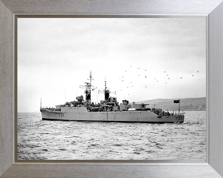 HMS Jaguar F37 Royal Navy Leopard class Frigate Photo Print or Framed Print - Hampshire Prints