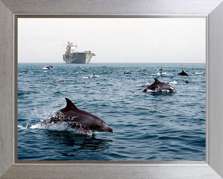 HMS Ocean (L12) Photo Print - With Dolphins 2003 - Royal Navy Landing Platform Helicopter Hampshire Prints 10 x 8 Silver Frame No