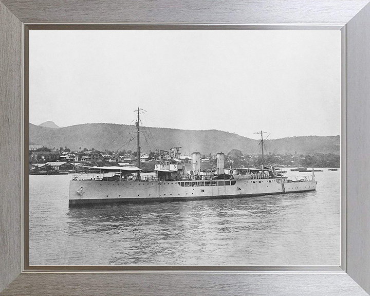 HMS Delphinium (1915) Royal Navy Arabis Class sloop Port Side View Photo Print Wall Art Posters, Prints, & Visual Artwork Hampshire Prints 10 x 8 Silver Frame No