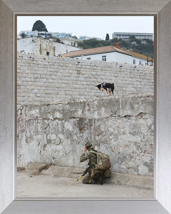 Royal Yeomanry Soldier on Exercise 2022 Photo Print - British Army