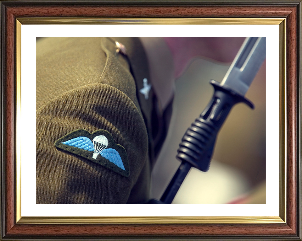 Army Parachutist Wings Closesup Photo Print - British Army Hampshire Prints