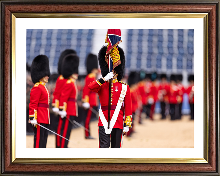 The Ensign of the Coldstream Guards Photo Print - British Army Hampshire Prints 10 x 8 Classic Frame Yes