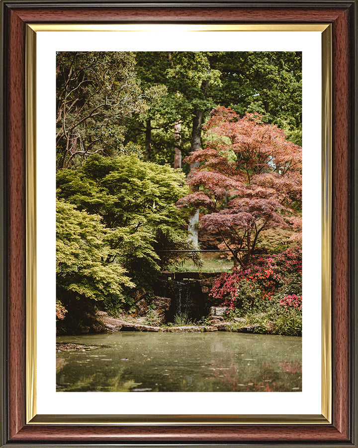 Exbury Gardens waterfall The New Forest Hampshire in Autumn Photo Print - Canvas - Framed Photo Print - Hampshire Prints