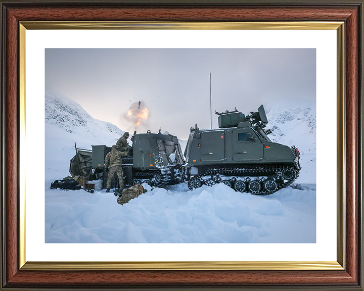 Royal Marine Commando Mortar Team Fire from a Viking Photo Print 45 Commando Marines Wall Art Military Decor Posters, Prints, & Visual Artwork Hampshire Prints 10 x 8 Classic Frame Yes