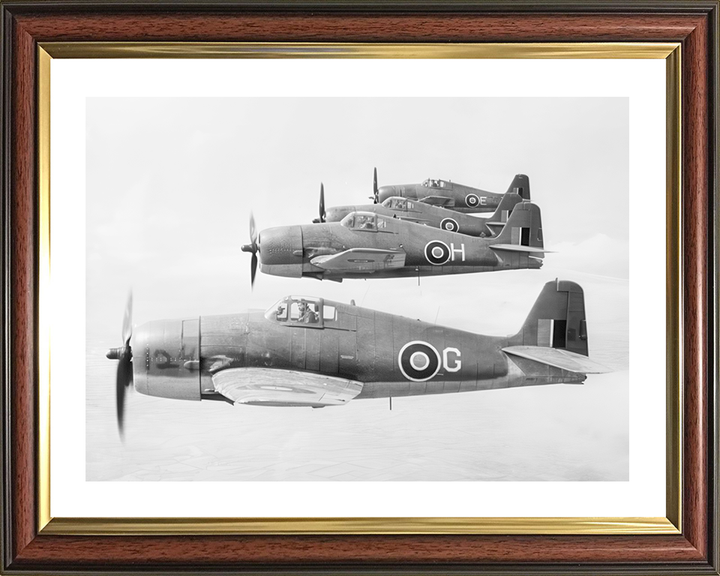 Four Grumman Hellcat F.I Fighters in Flight Photo Print - Royal Navy Aircraft Hampshire Prints 10 x 8 Classic Frame Yes