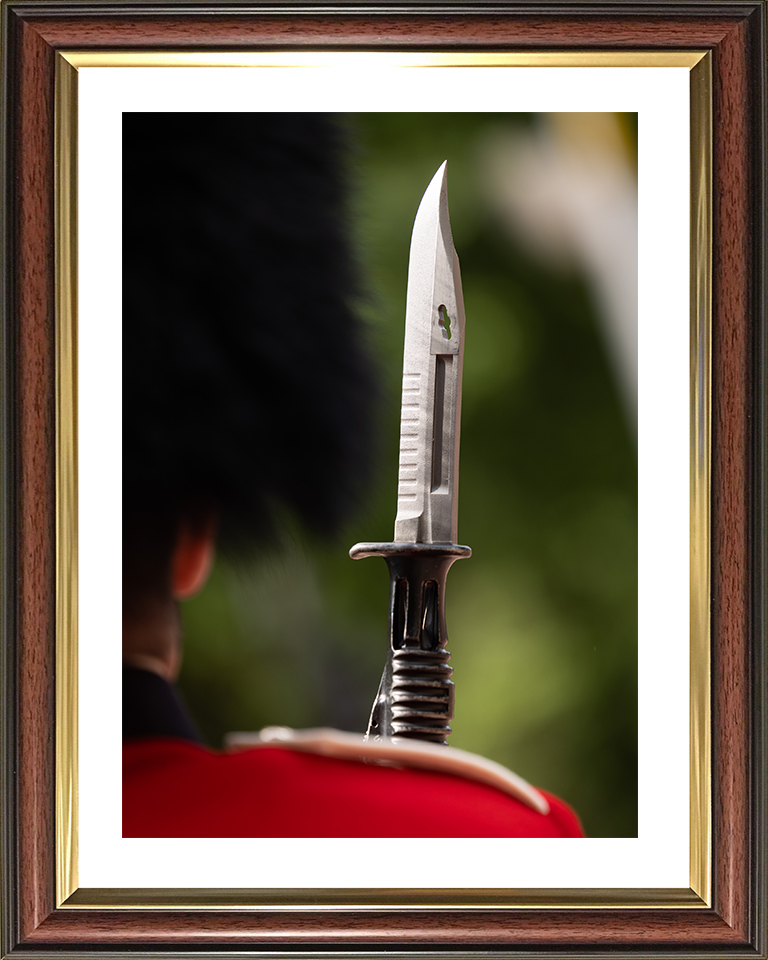 A Coldstream Guards Guardsman With Bayonet on Parade Photo Print - British Army Hampshire Prints 10 x 8 Classic Frame Yes