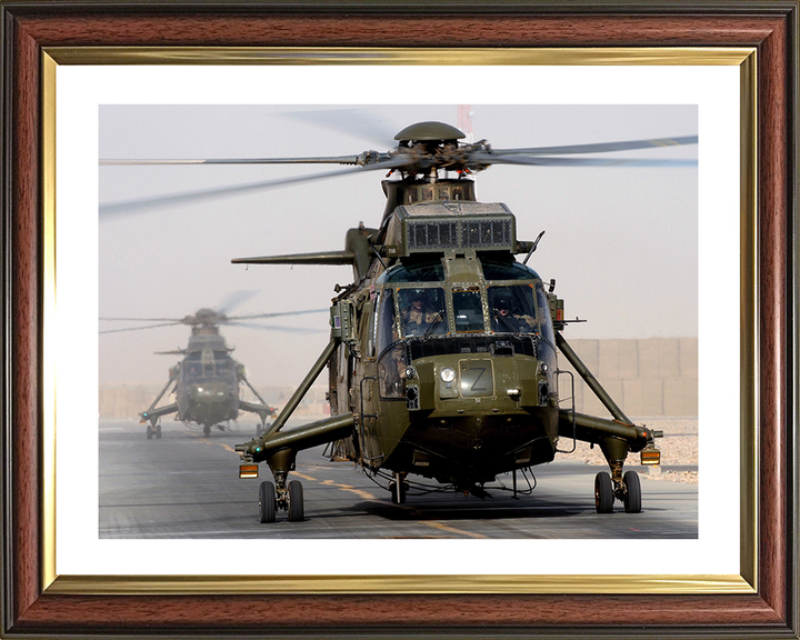 Sea King Mk4 Helicopter Take off from Camp Bastion 2011 Photo Print - Royal Navy Aircraft Posters, Prints, & Visual Artwork Hampshire Prints 10 x 8 Classic Frame Yes