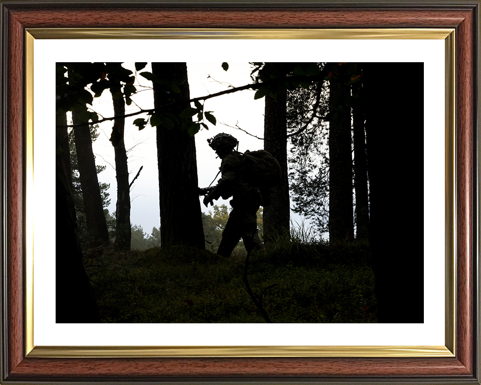 Reservists Soldier Patrolling Silhouette Photo Print - British Army Reserve Posters, Prints, & Visual Artwork Hampshire Prints 10 x 8 Classic Frame Yes