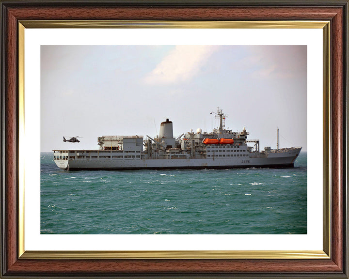RFA Fort Austin (A386) Photo Print - Starboard Side - Royal Fleet Auxiliary Fort Rosalie Class Ship Hampshire Prints 10 x 8 Classic Frame Yes