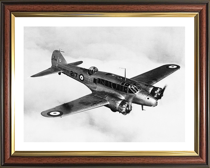 RAF Avro Anson Mark 1 in flight Photo Print - Royal Air Force Aircraft Hampshire Prints 10 x 8 Classic Frame Yes