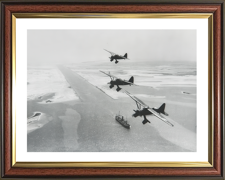 RAF Westland Lysanders over Suez canal 1940 Photo Print - Royal Air Force Aircraft Posters, Prints, & Visual Artwork Hampshire Prints 10 x 8 Classic Frame Yes