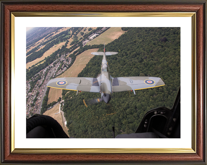 RAF Spitfire Mk XVI with Clipped Wings in Flight Photo Print - Royal Air Force Aircraft Posters, Prints, & Visual Artwork Hampshire Prints 10 x 8 Classic Frame Yes