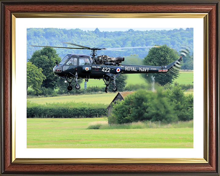 Westland Wasp Helicopter in Flight Photo Print - Royal Navy Aircraft Posters, Prints, & Visual Artwork Hampshire Prints 10 x 8 Classic Frame Yes