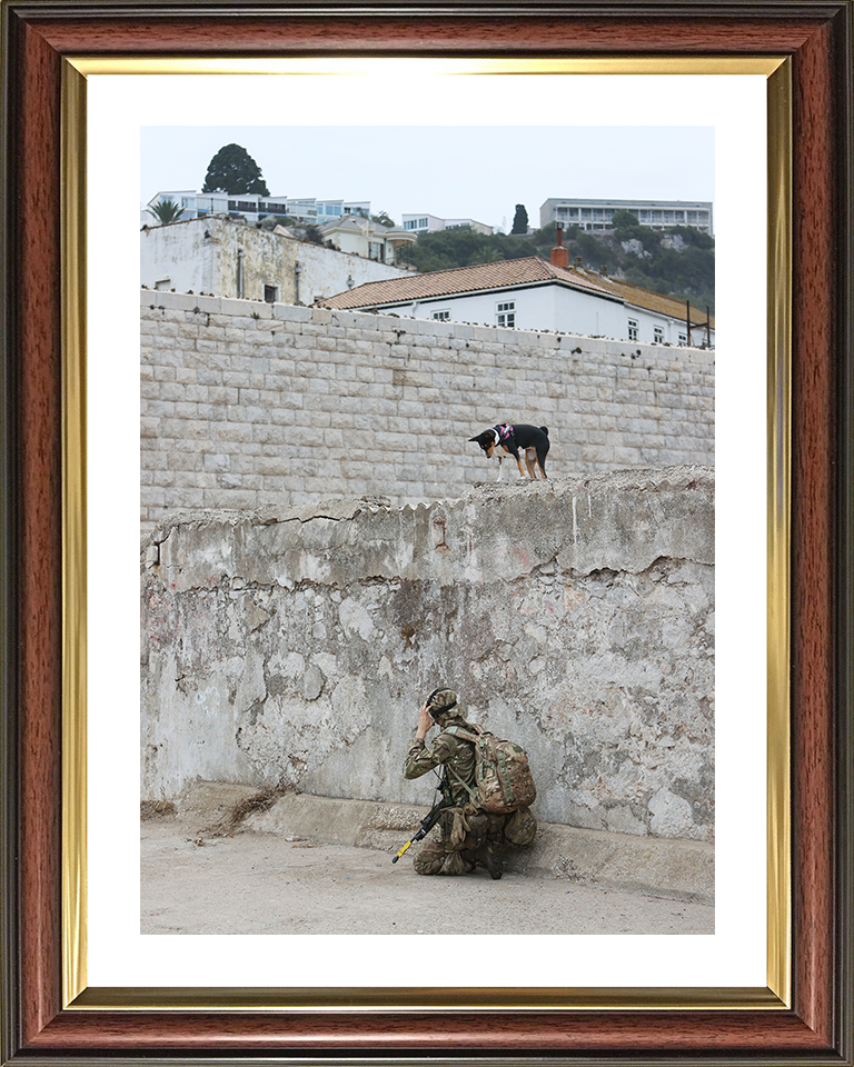 Royal Yeomanry Soldier on Exercise 2022 Photo Print - British Army