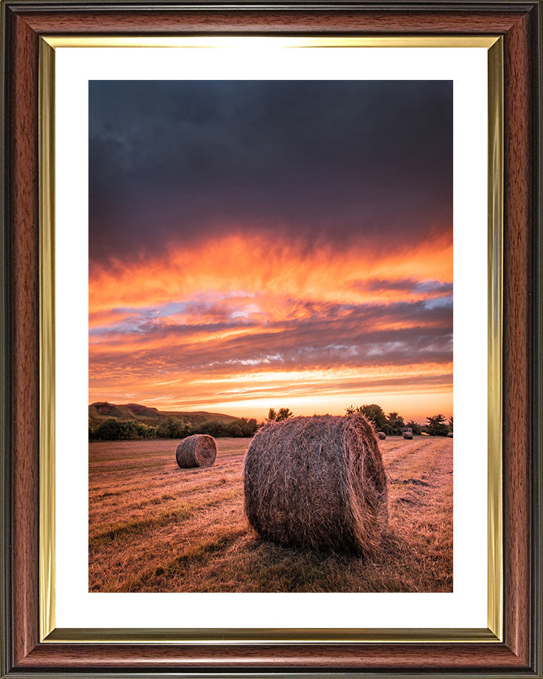 Hay bales at sunset in Hampshire Photo Print - Canvas - Framed Photo Print - Hampshire Prints
