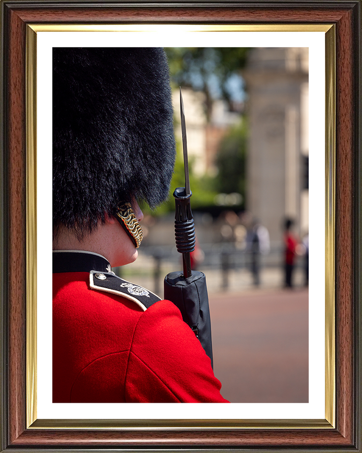 Grenadier Guard lining the street in London Photo Print - British Army Hampshire Prints 10 x 8 Classic Frame Yes
