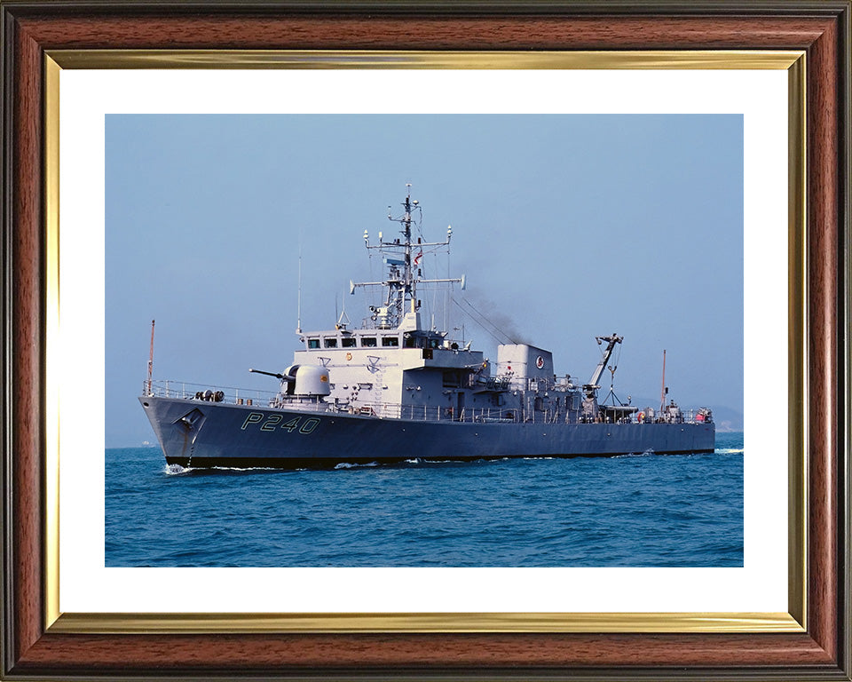 HMS Plover P240 | Photo Print | Framed Print | Peacock Class | Patrol Vessel | Royal Navy Hampshire Prints