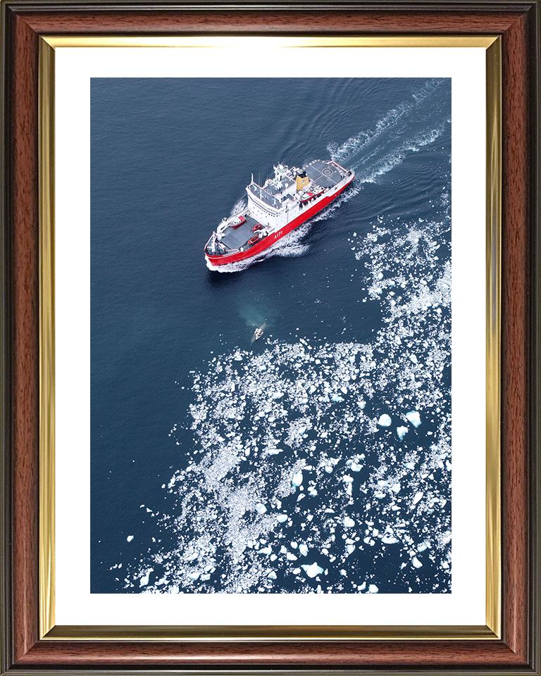 HMS Endurance (A171) Photo Print - Antarctic Ice Fields 2005 - Royal Navy Ice Breaker Patrol Ship Hampshire Prints 10 x 8 Classic Frame Yes