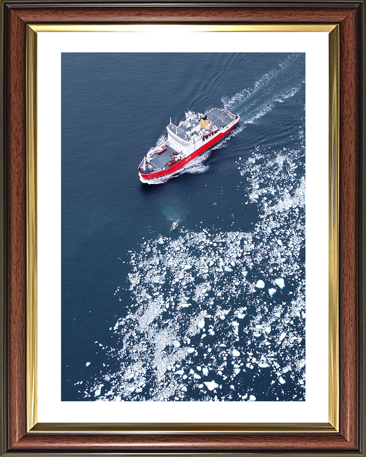 HMS Endurance (A171) Photo Print - Antarctic Ice Fields 2005 - Royal Navy Ice Breaker Patrol Ship Hampshire Prints 10 x 8 Classic Frame Yes
