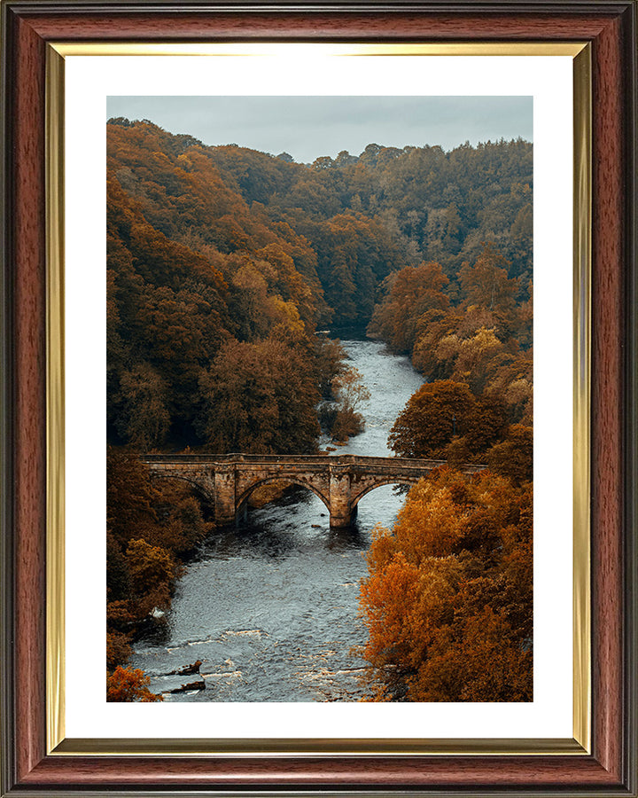 North Yorkshire countryside in Autumn Photo Print - Canvas - Framed Photo Print - Hampshire Prints