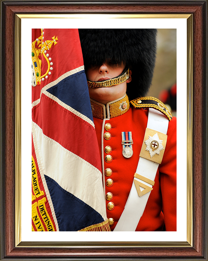 Coldstream Guard with Regimental Colours Photo Print - British Army Hampshire Prints 10 x 8 Classic Frame Yes