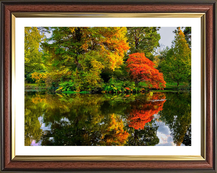 Exbury Gardens The New Forest Hampshire in Autumn Photo Print - Canvas - Framed Photo Print - Hampshire Prints