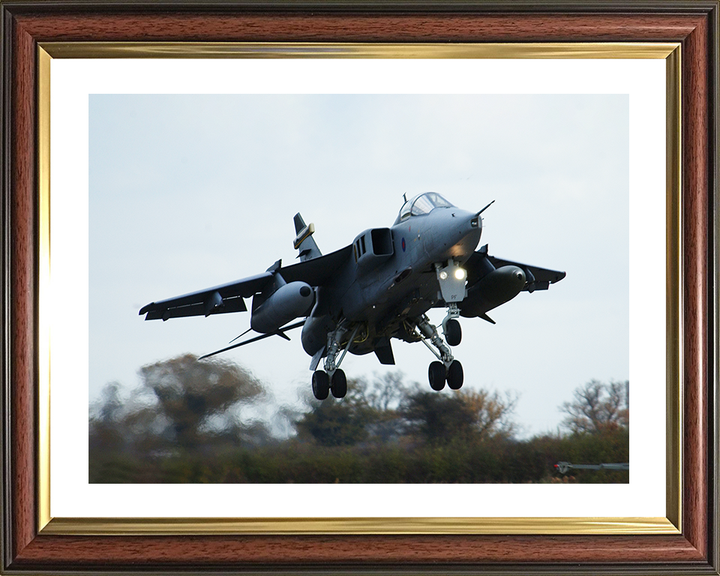 RAF Jaguar Taking Off 2002 Photo Print - Royal Air Force Aircraft Posters, Prints, & Visual Artwork Hampshire Prints 10 x 8 Classic Frame Yes