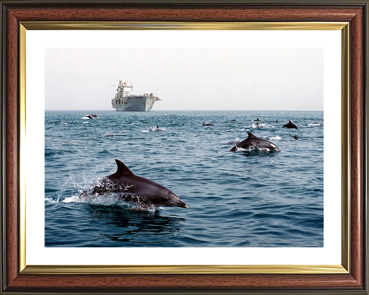 HMS Ocean (L12) Photo Print - With Dolphins 2003 - Royal Navy Landing Platform Helicopter Hampshire Prints 10 x 8 Classic Frame Yes