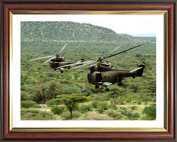 Two RAF Puma HC1 Helicopters in flight Photo Print - Royal Air Force Aircraft Hampshire Prints 10 x 8 Classic Frame Yes