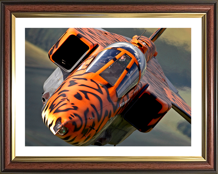 RAF Jaguar Final Flight with special Livery Photo Print - Royal Air Force Aircraft Posters, Prints, & Visual Artwork Hampshire Prints 10 x 8 Classic Frame Yes