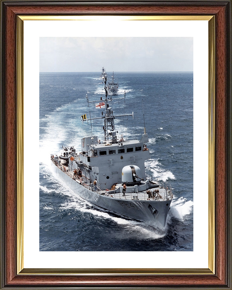 HMS Starling P241 Royal Navy Peacock class patrol vessel Photo Print or Framed Print - Hampshire Prints