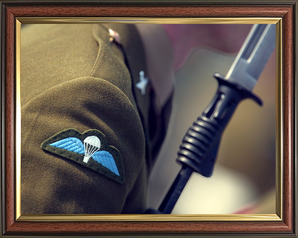 Army Parachutist Wings Closesup Photo Print - British Army Hampshire Prints