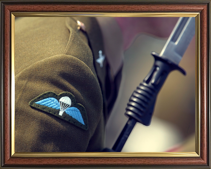 Army Parachutist Wings Closesup Photo Print - British Army Hampshire Prints