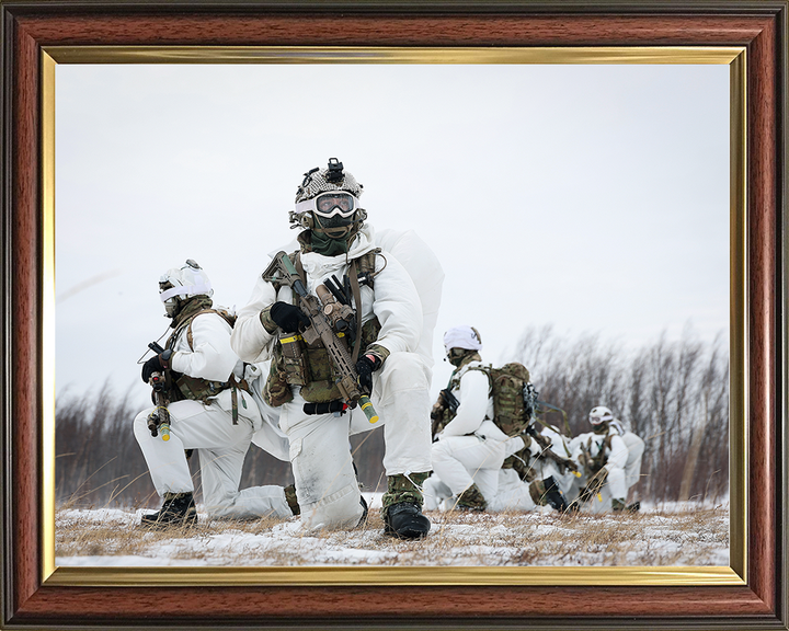 Royal Marines kneel During Cold Weather exercise Photo Print 40 Commando Marines Wall Art Military Decor Posters, Prints, & Visual Artwork Hampshire Prints 10 x 8 Classic Frame No