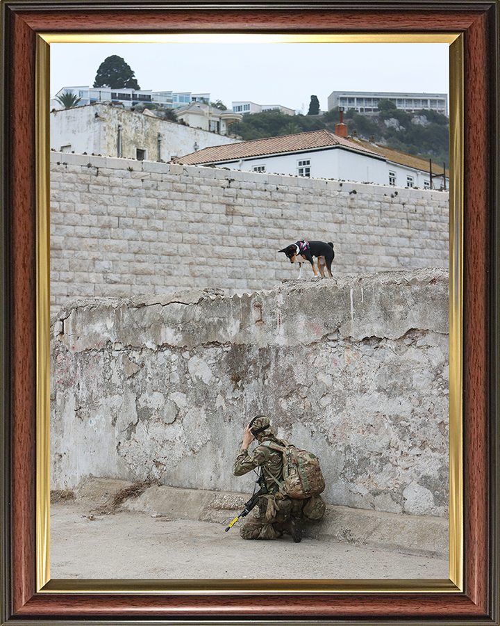 Royal Yeomanry Soldier on Exercise 2022 Photo Print - British Army