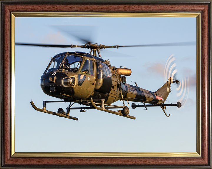 Westland Scout AH1 Helicopter in Flight 2015 Photo Print - British Army Aircraft Posters, Prints, & Visual Artwork Hampshire Prints 10 x 8 Classic Frame No