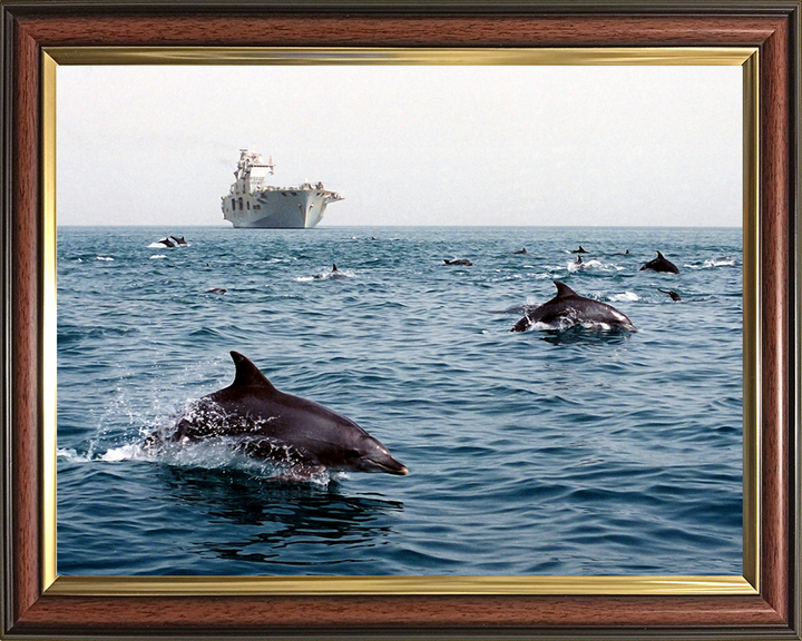 HMS Ocean (L12) Photo Print - With Dolphins 2003 - Royal Navy Landing Platform Helicopter Hampshire Prints 10 x 8 Classic Frame No