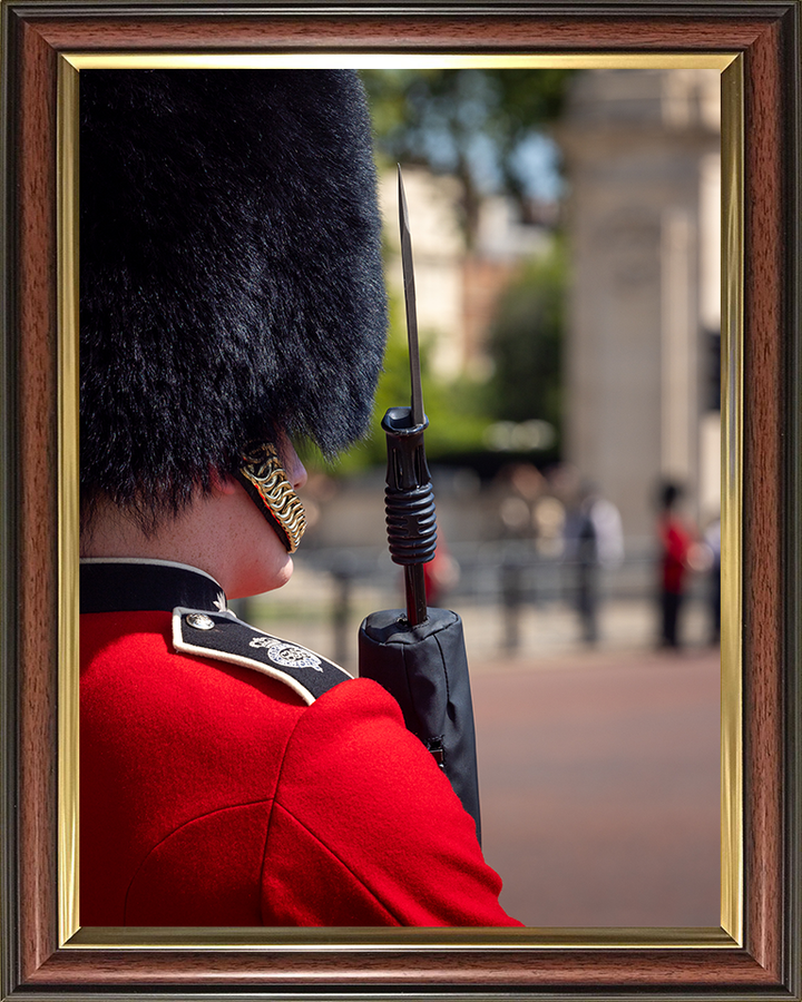 Grenadier Guard lining the street in London Photo Print - British Army Hampshire Prints 10 x 8 Classic Frame No